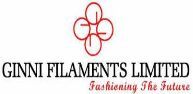 Top stock under Rs 50: Ginni Filaments