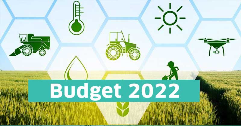 Budget 2022: What does Budget 2022 have for startups and MSMEs?