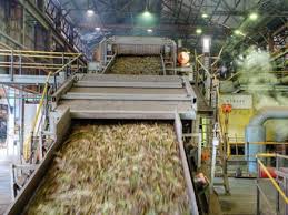 Sugar stocks to remain bitter