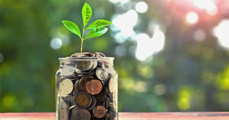 Shares of this sugar company soared to 13 per cent!