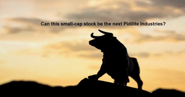 Stock below Rs 200: Can this small-cap stock be the next Pidilite Industries?