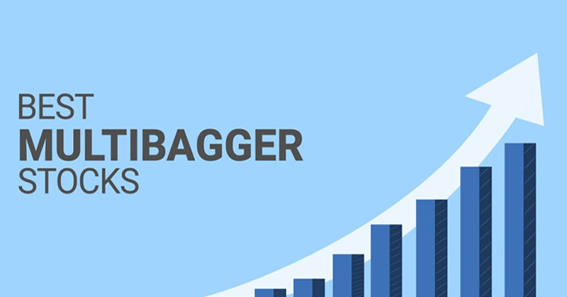 Multibagger Update: Top 10 Stocks that Doubled in Value in Just 1 Month; do you have any?