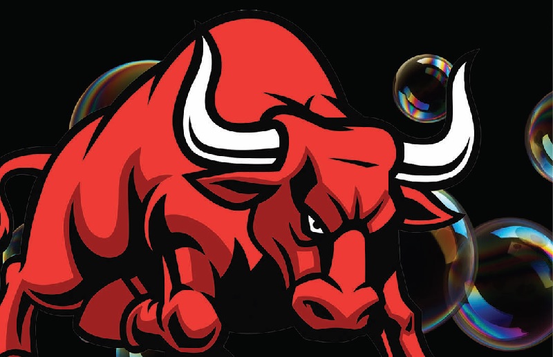 Equity: Bubble or Bull Market