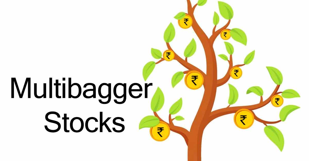 Heavy buying alert: 15 consecutive upper circuits in this multibagger stock post FIIs increasing stake, stock trades at a low PE & high ROE!