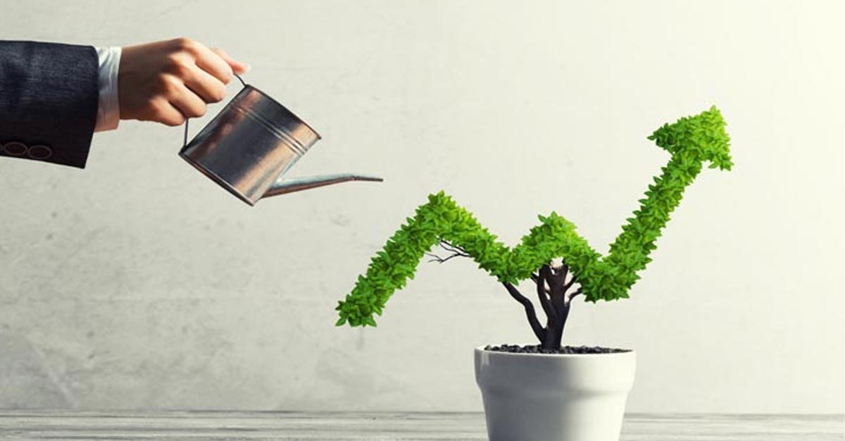 Beyond Bonds: Unveiling the secrets of debt funds - Your low-risk ladder to wealth