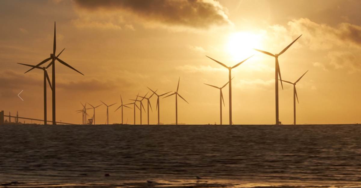 Turnaround Wind Energy Stock Under Rs 30: Stock Hits Upper Circuit with Heavy Volumes, FIIs Bought Stake for the First Time Ever!