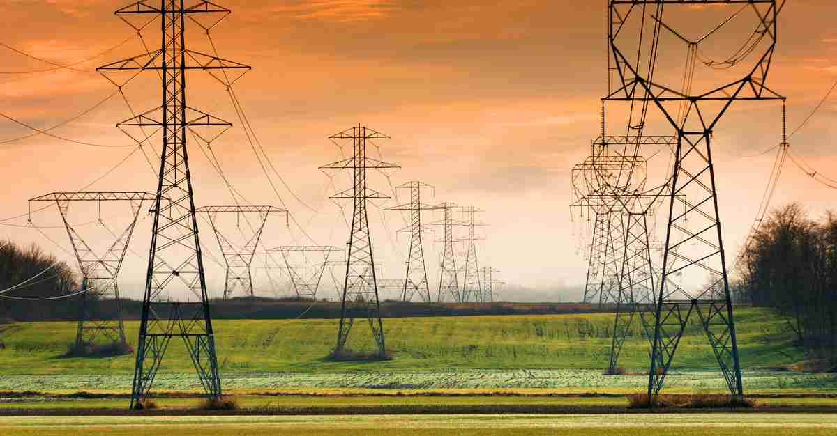 Power Infra Company Secures Order Worth Rs 53,77,00,000 from REC Power; FIIs Increase Stake in Q1 FY25!