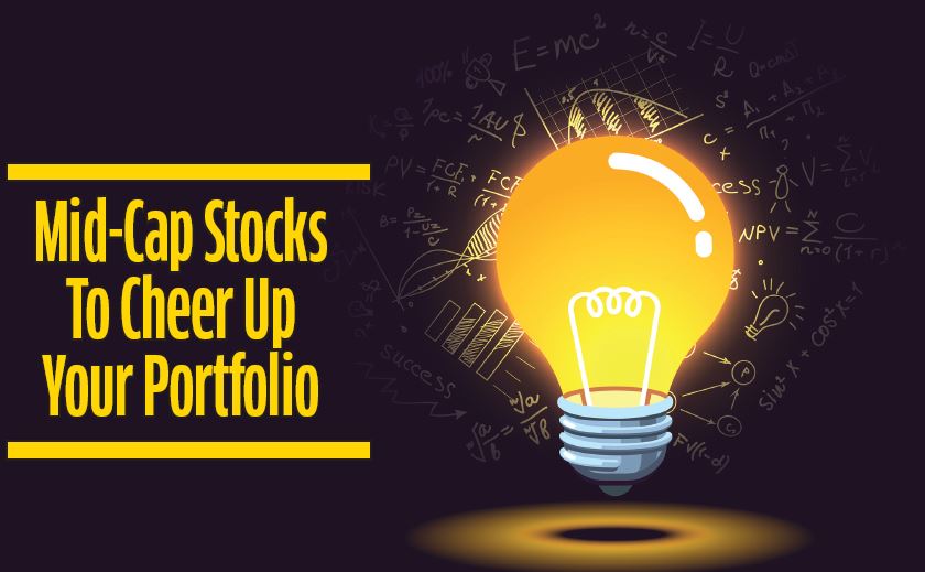 Mid-Cap Stocks To Cheer Up Your Portfolio