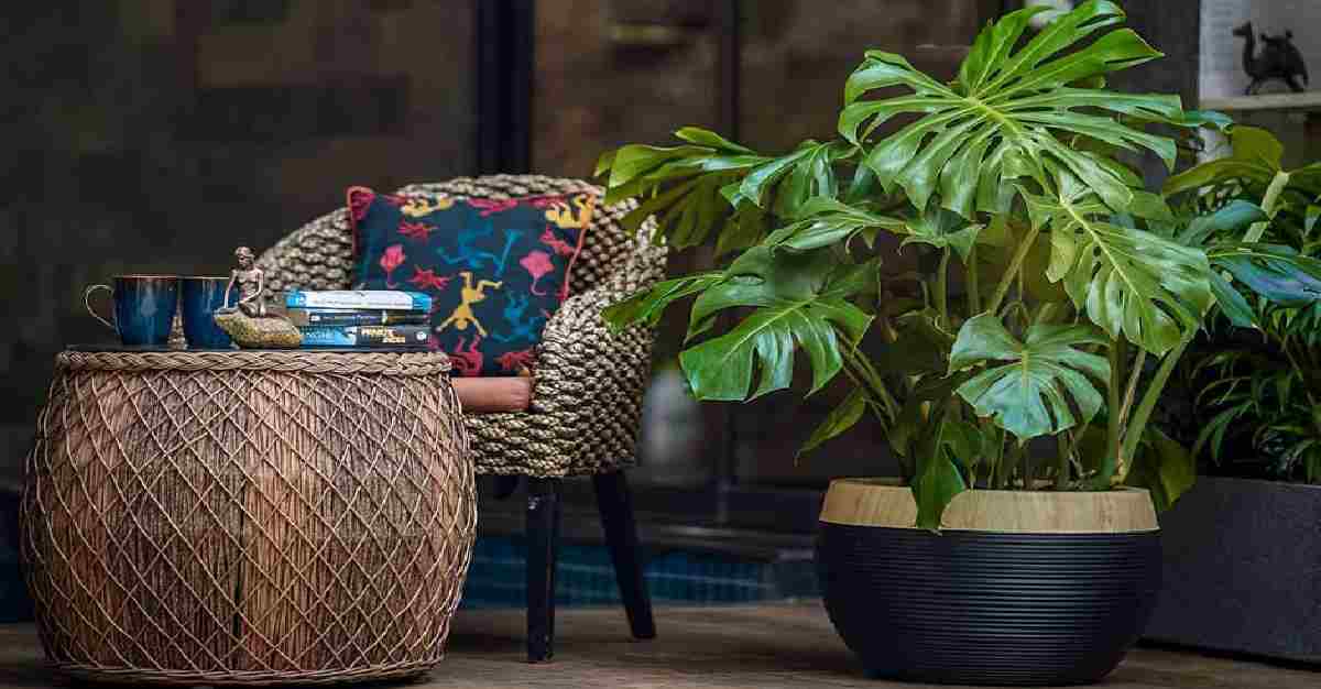 Under Rs 100: Microcap Company Secures Multiple Orders Worth Rs 86.61 Lakh from Mumbai and Mangaluru International Airports – Stock Surges 90 Per cent in 6 Months!