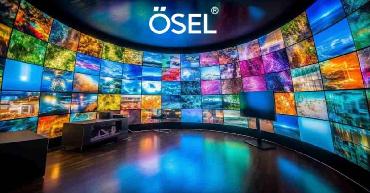 Dixon Technologies' Peer Company Stock Rallies Over 10 Per cent and Hit 52-Week High: This LED Display Manufacturer's Profit Surged by 1200 Per cent in 3 Years!