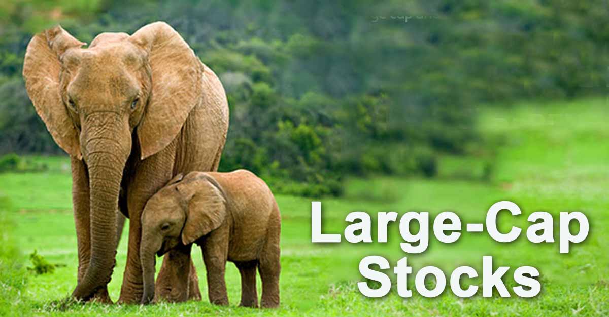 Grooming Giant Sees 43.5 Per Cent Profit Surge in Q1; Stock Reaches All-Time High