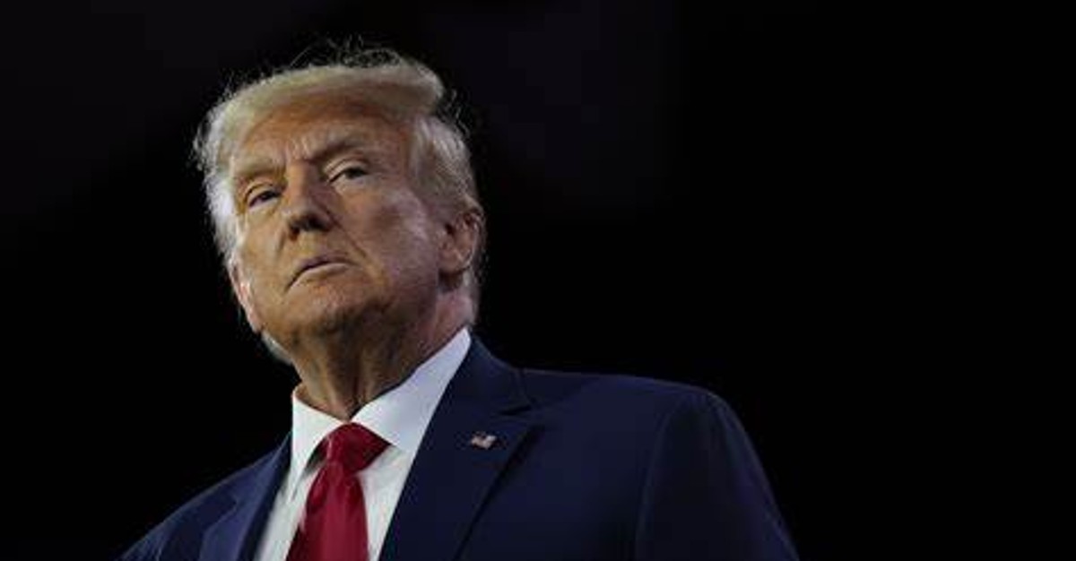 Stock Under Rs 50 Gains Momentum: How Trump’s Victory Fuels This Stock!