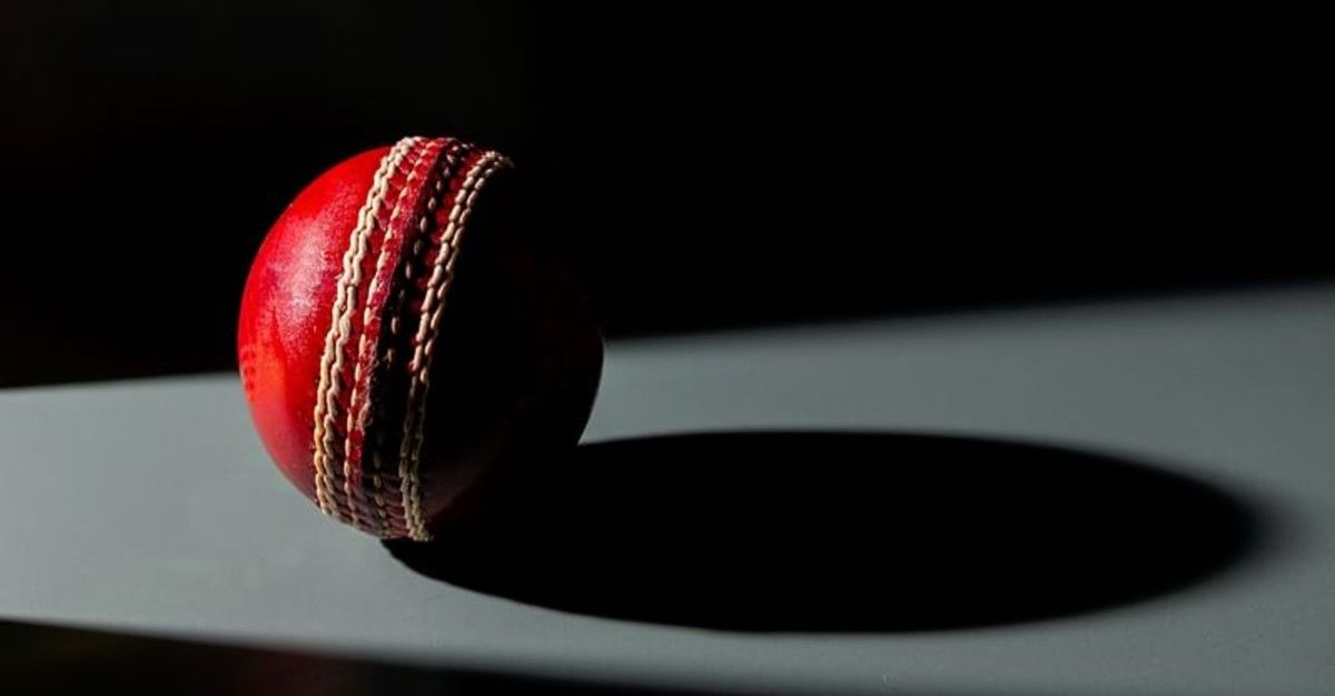 How do cricket tactics illuminate stock market strategy?