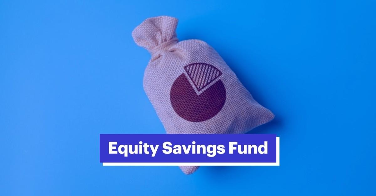 Equity savings schemes: Low-risk hybrid fund that's consistent on net inflows