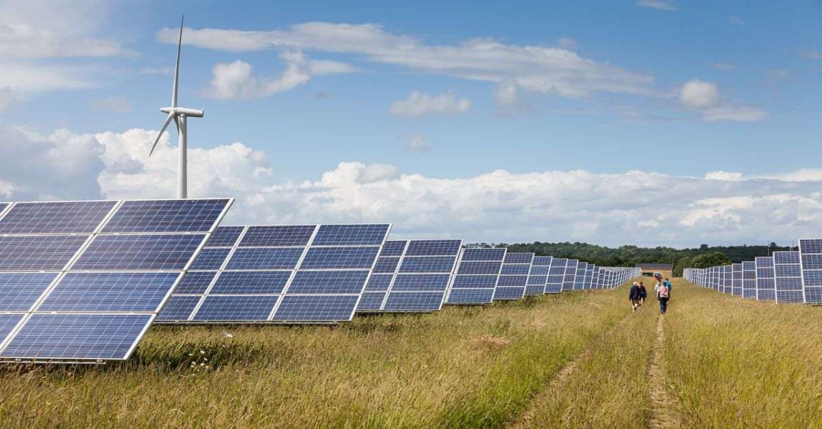 Solar penny stock under Rs 25 hit the upper circuit after bagging new order worth Rs 15,57,81,437.37 from NHPC Ltd