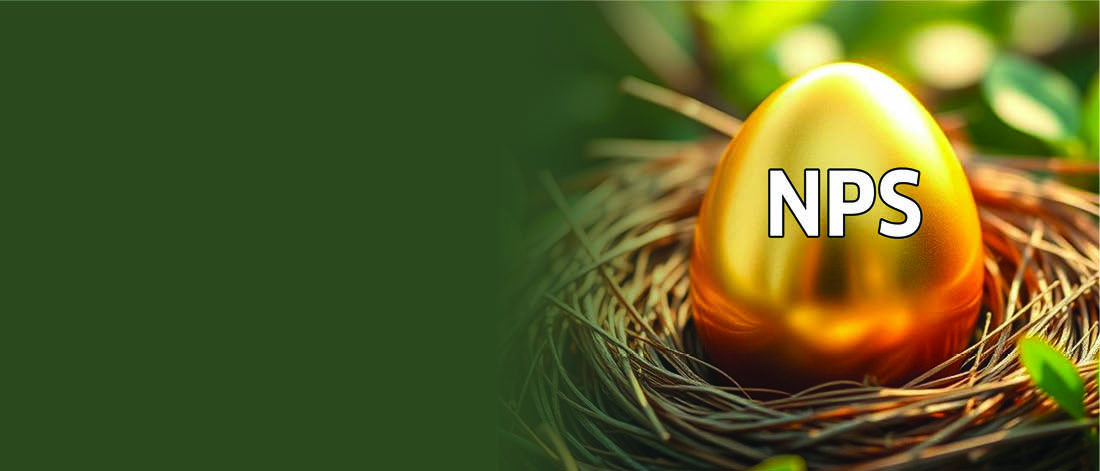 Building a Retirement Nest with NPS