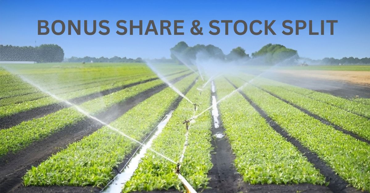 Double Dhamaka! 1:1 Bonus Share & 1:5 Stock Split: Debt-Free Multibagger Stock Hit 52-Week High & Rockets 7,000% in 5 Years