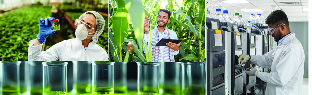 PI Industries Limited