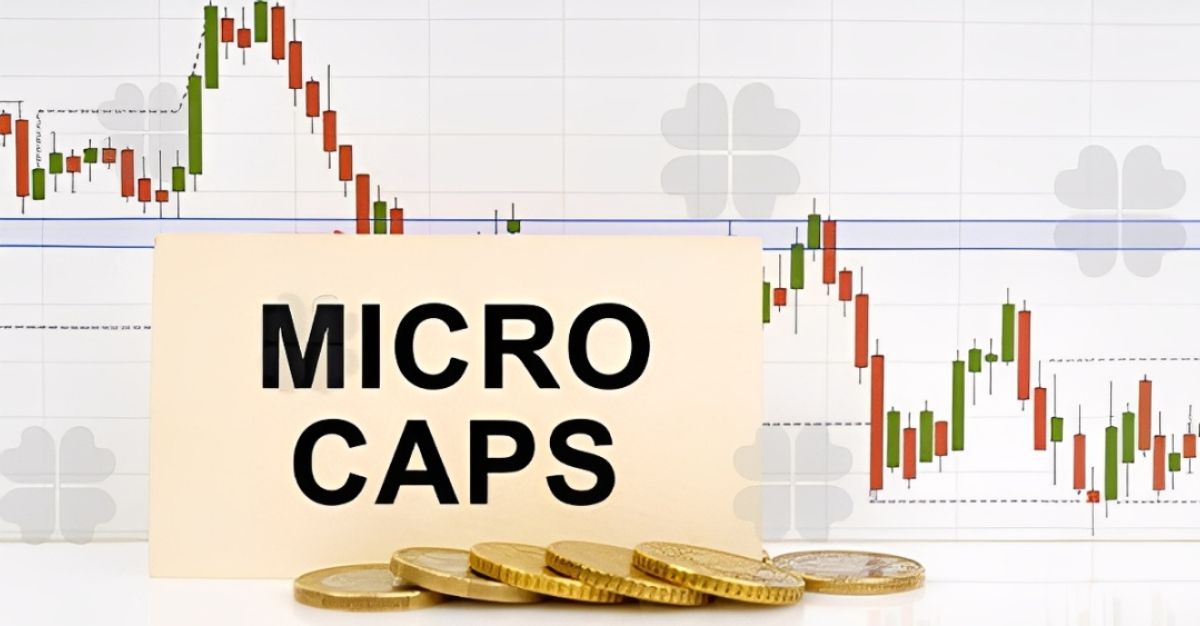 Micro-cap agrochemical company received an order worth Rs 2,41,60,000 from Hindustan Agro