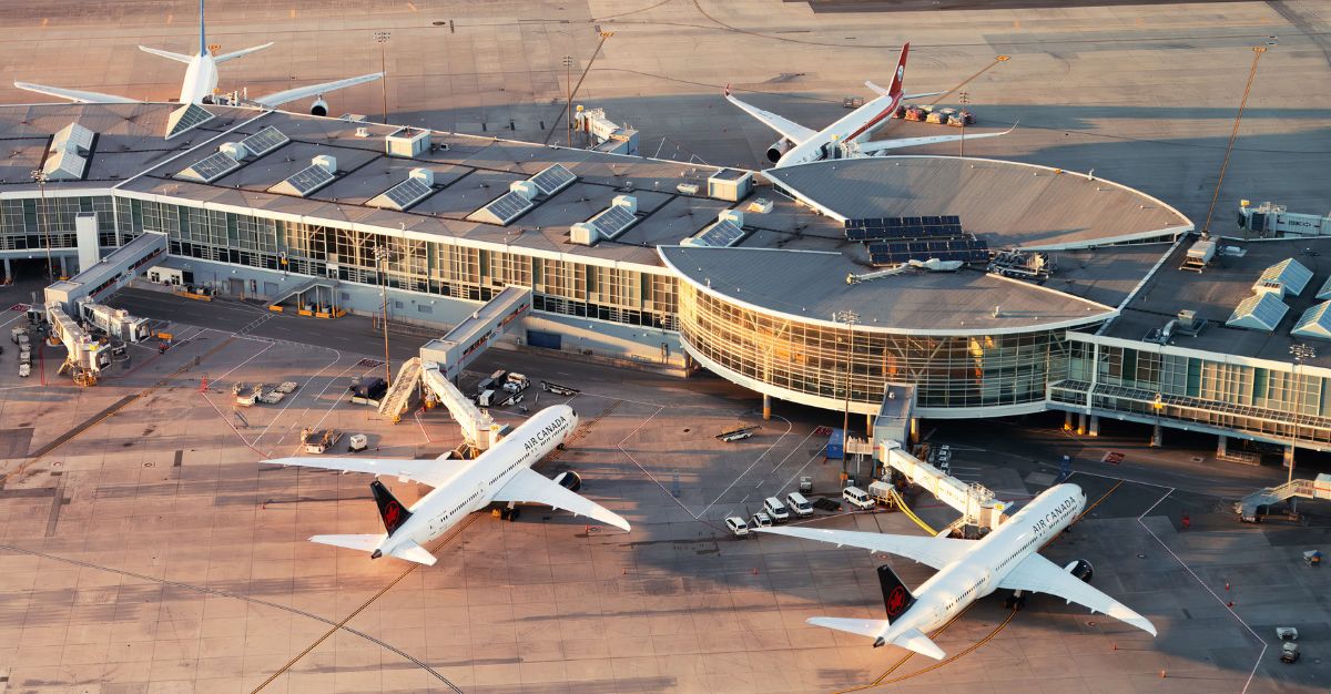 Penny stock below Rs 50: Company receiving an order worth Rs 282.40 lakh