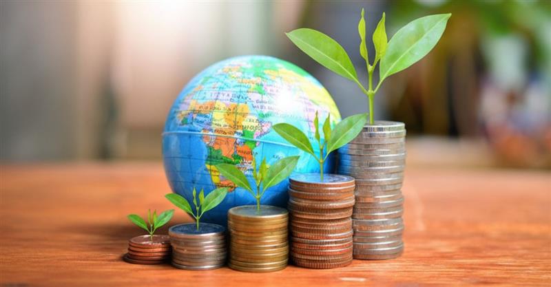 The world is your market: Exploring the power of international mutual funds