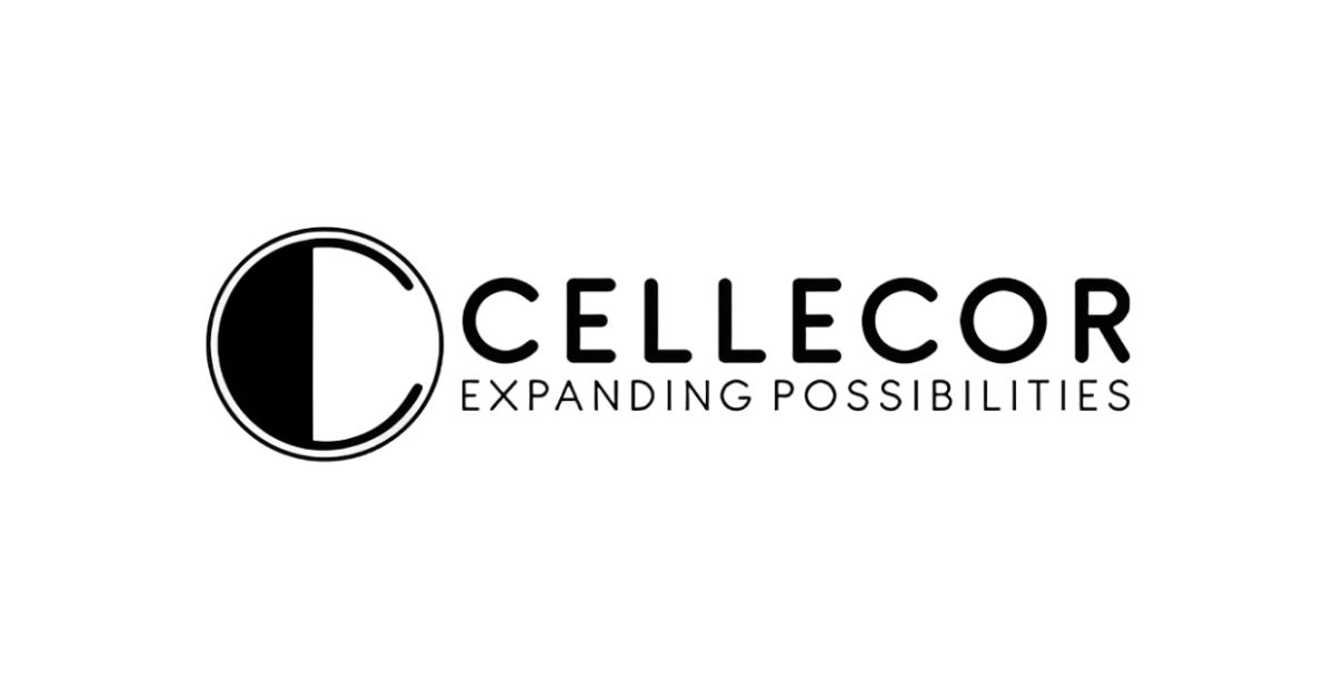 FIIs increased their stake to 8.78%: Shares of Cellecor Gadgets Limited Reports 50.7% Revenue Surge & PAT Jumps 35.2% in H1FY26