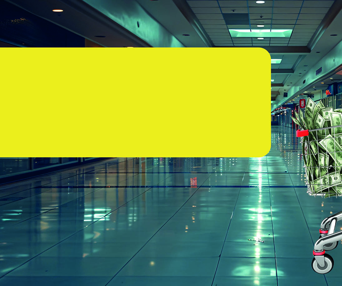 The Recalibrated India Bet: FIIs Shift from Momentum to Maturity