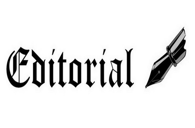 Is This a Dead Cat Bounce or Bottom Formed?