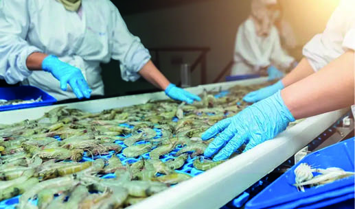 Avanti Feeds: Growth Beyond Trade-Driven Gains