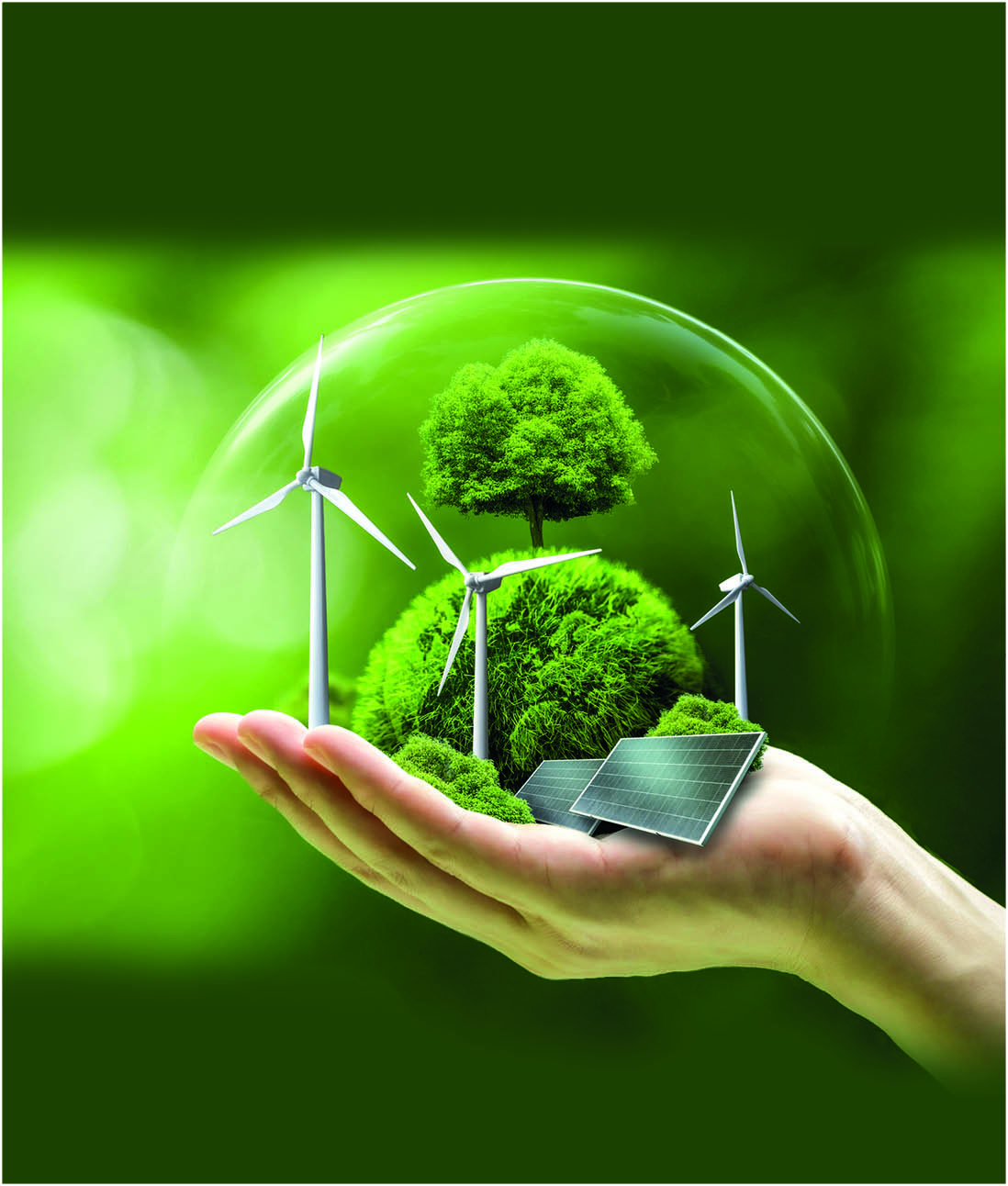 The Green Shift: Renewable Stocks Charge Ahead