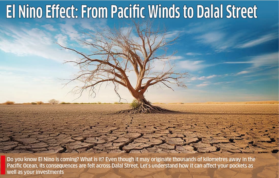 El Nino Effect: From Pacific Winds to Dalal Street