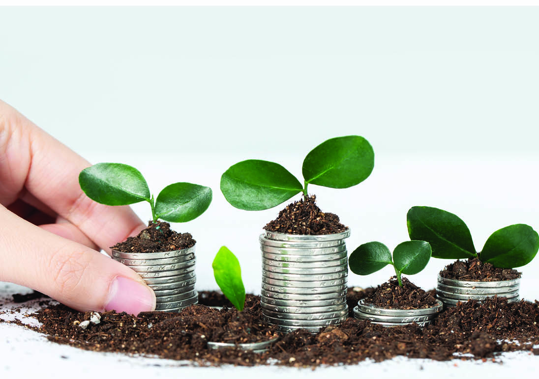 Debt Funds: Risk, Reward and the RBI Effect