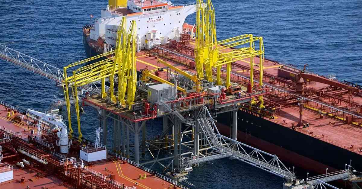 Power Distribution Company Stock Hits All-Time High; FII, DII Stake Also Rises